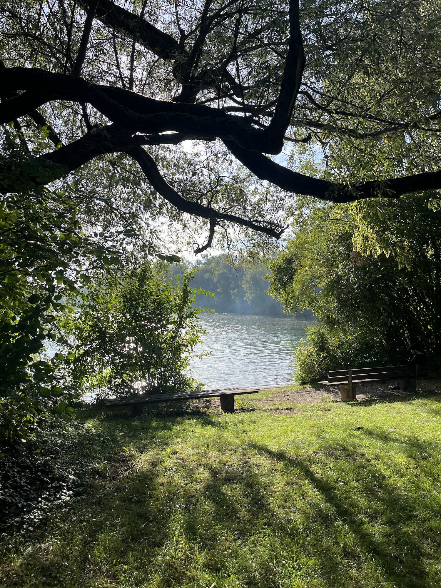 Feldmochinger See | Top Badeseen in München und Umgebung | Mr. München | Foto: Mr. München