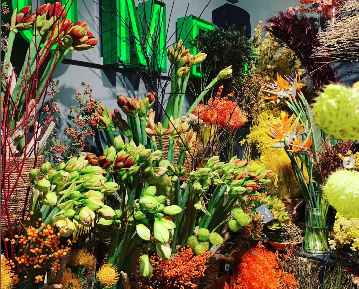 Blütenburg Blumen | Meine Top Blumenläden in München | Mr. München | Foto: Blütenburg Blumen