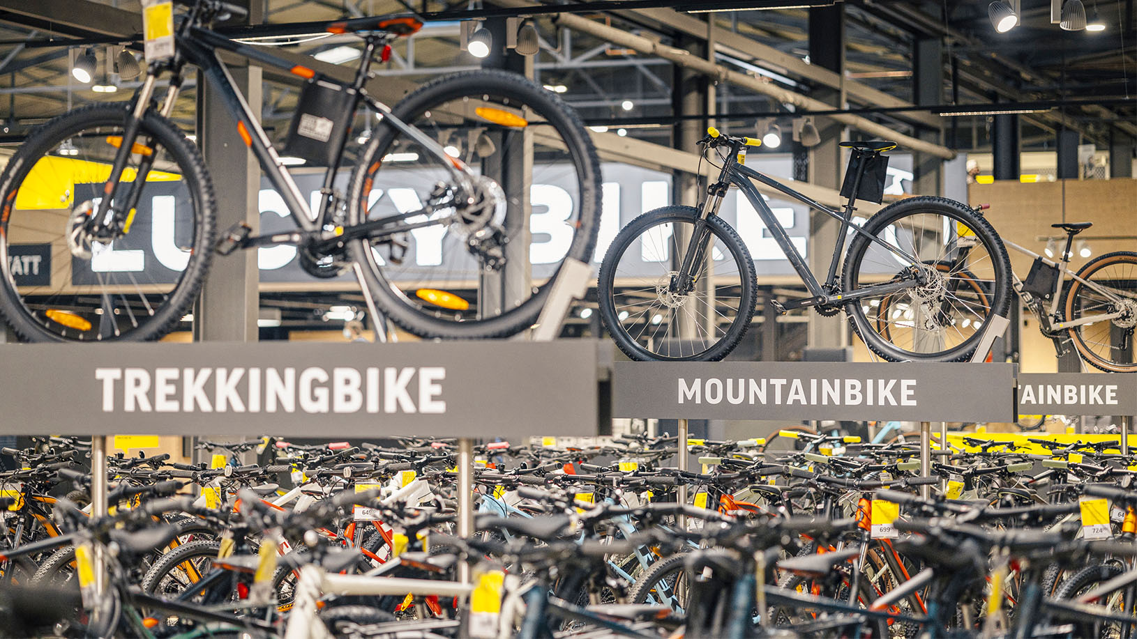 Lucky Bike | Der beste Fahrradladen in München | Mr. München | Foto: Lucky Bike