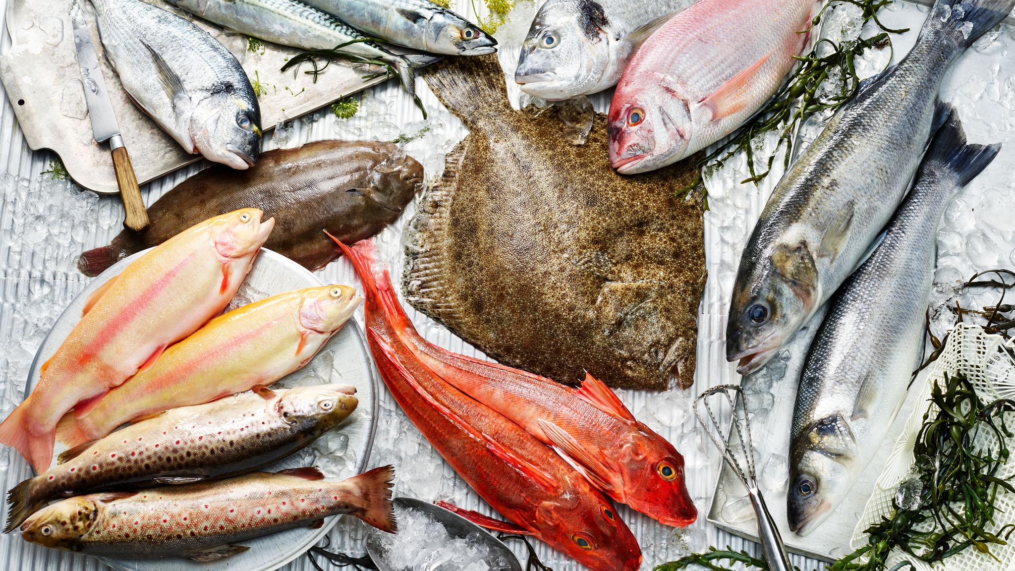 Frische Paradies​ | Top Feinkostläden in München | Mr. München | Foto: Frische Paradies