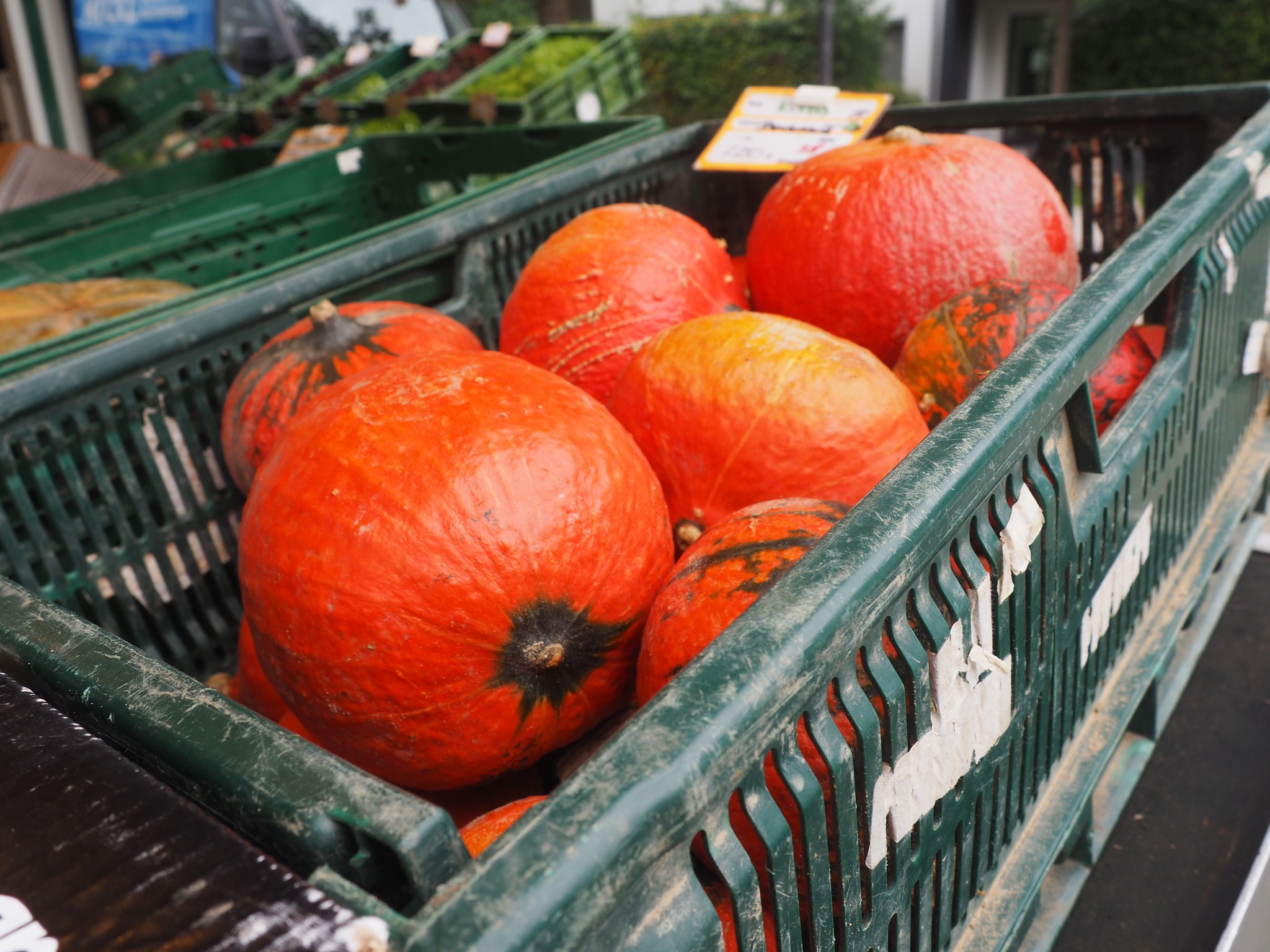 Münchner Wochenmärkte | Top Tipps rund um den perfekten Kürbis in München | Mr. München | Foto: Münchner Wochenmärkte