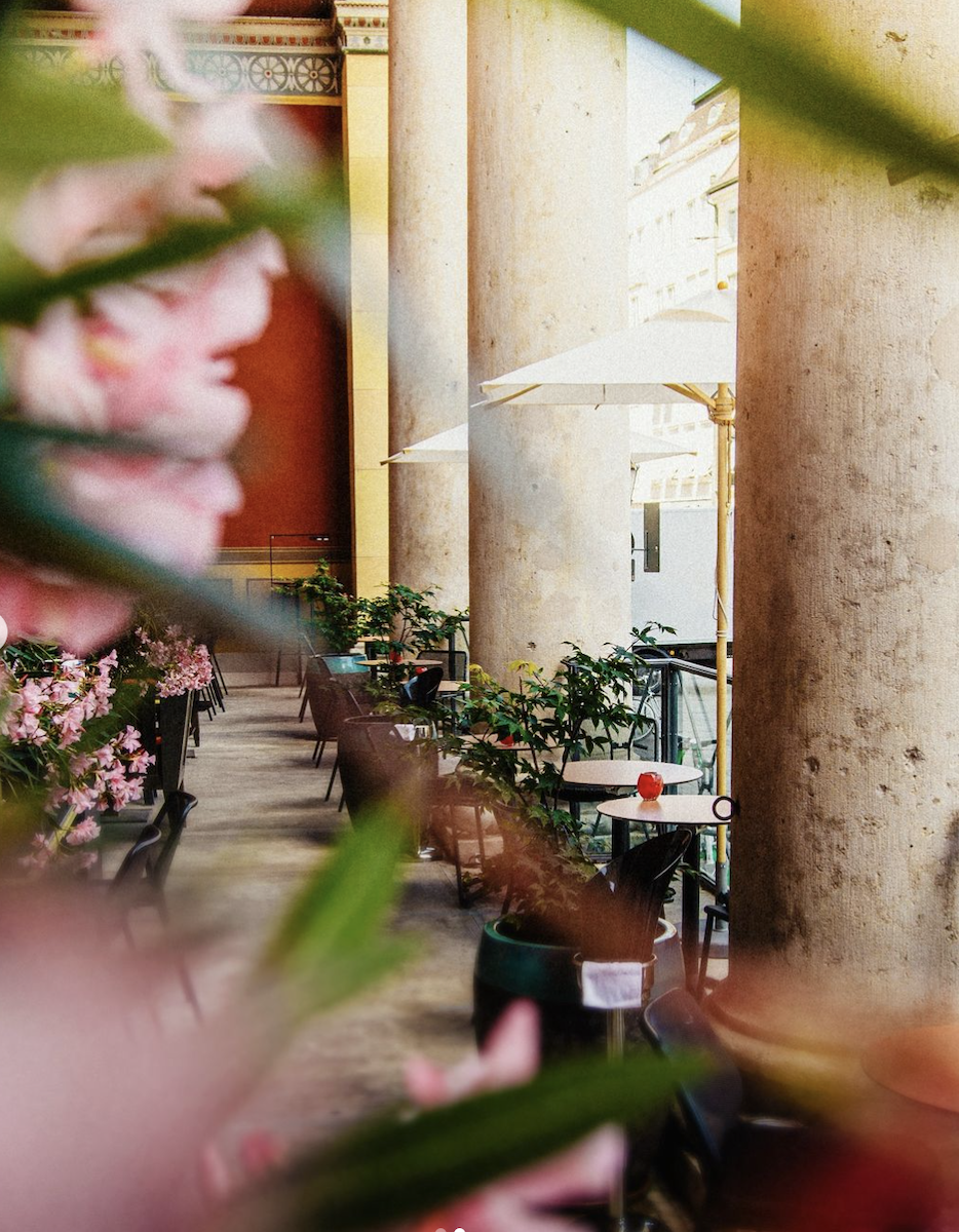 Azuki | Top Terrassen in München | Mr. München | Foto: Azuki