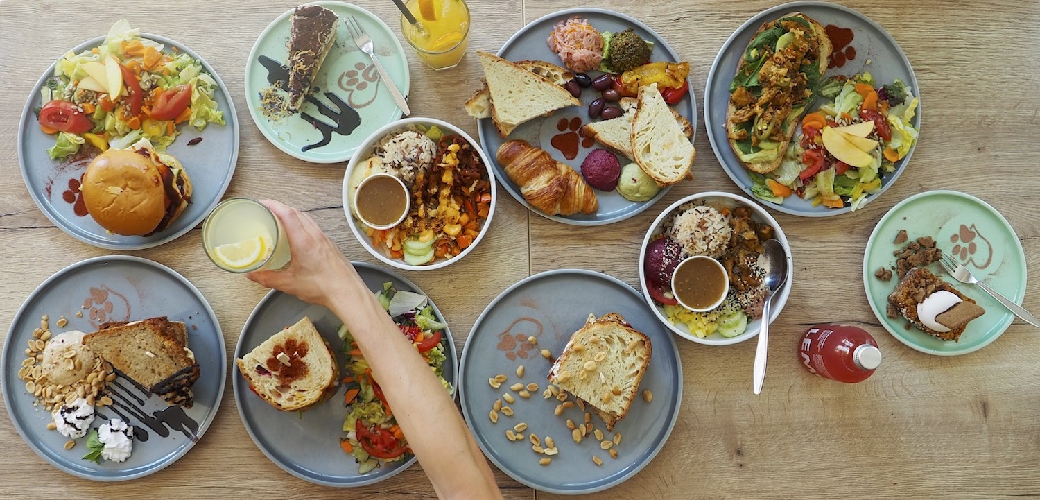 Café Katzentempel | Vegane Restaurants & Cafés in München | Mr. München | Foto: Café Katzentempel