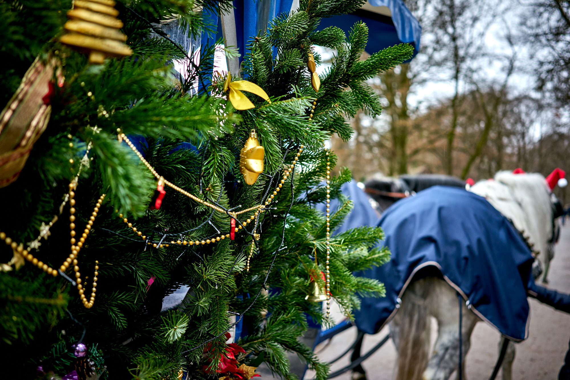 Weihnachtsmarkt Chinesischer Turm | Top Weihnachtsmärkte in München | Mr. München | Foto: Chinesischer Turm